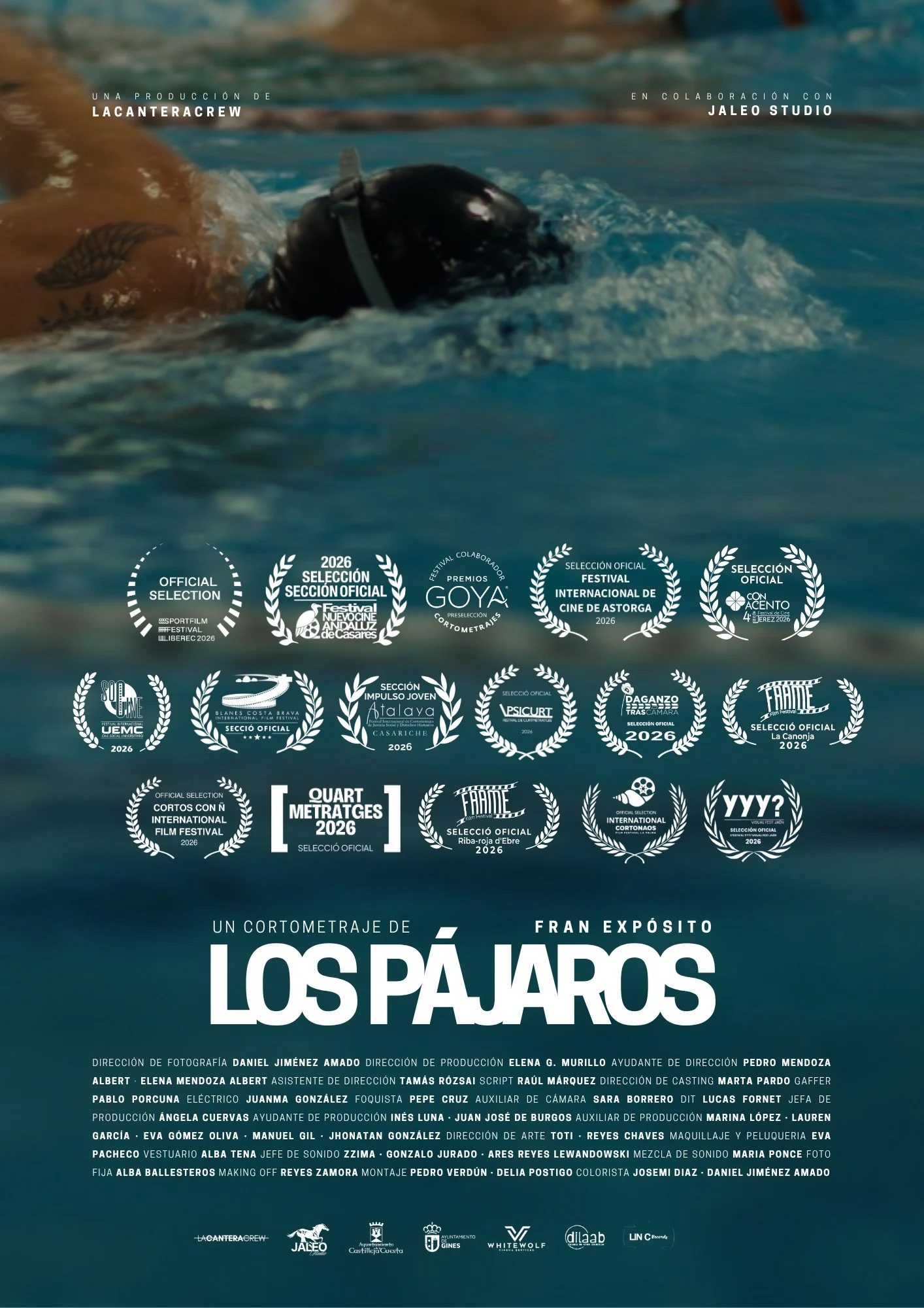 LOS PÁJAROS — affiche