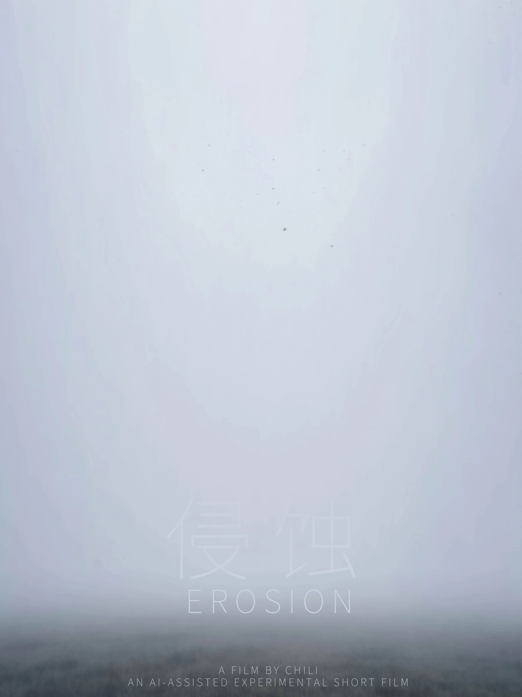 Erosion — affiche