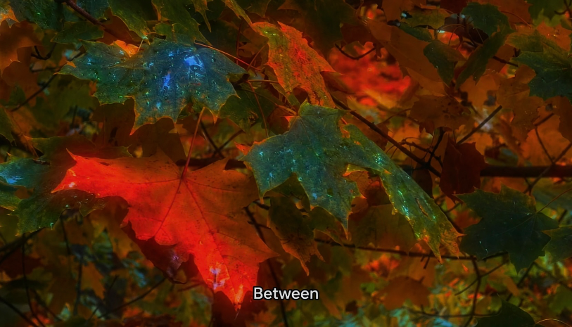 Between — poster