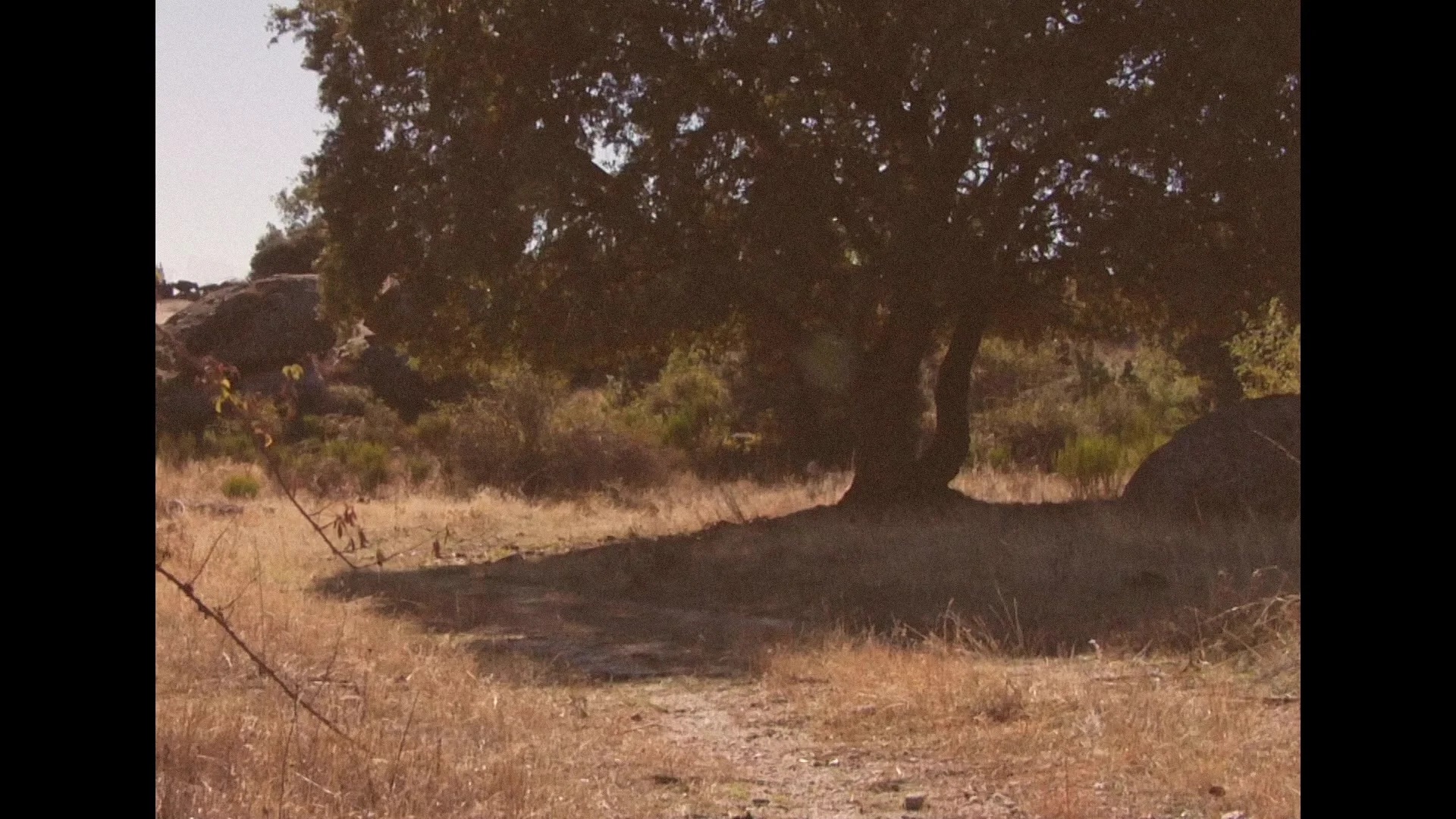 Raíces — film still
