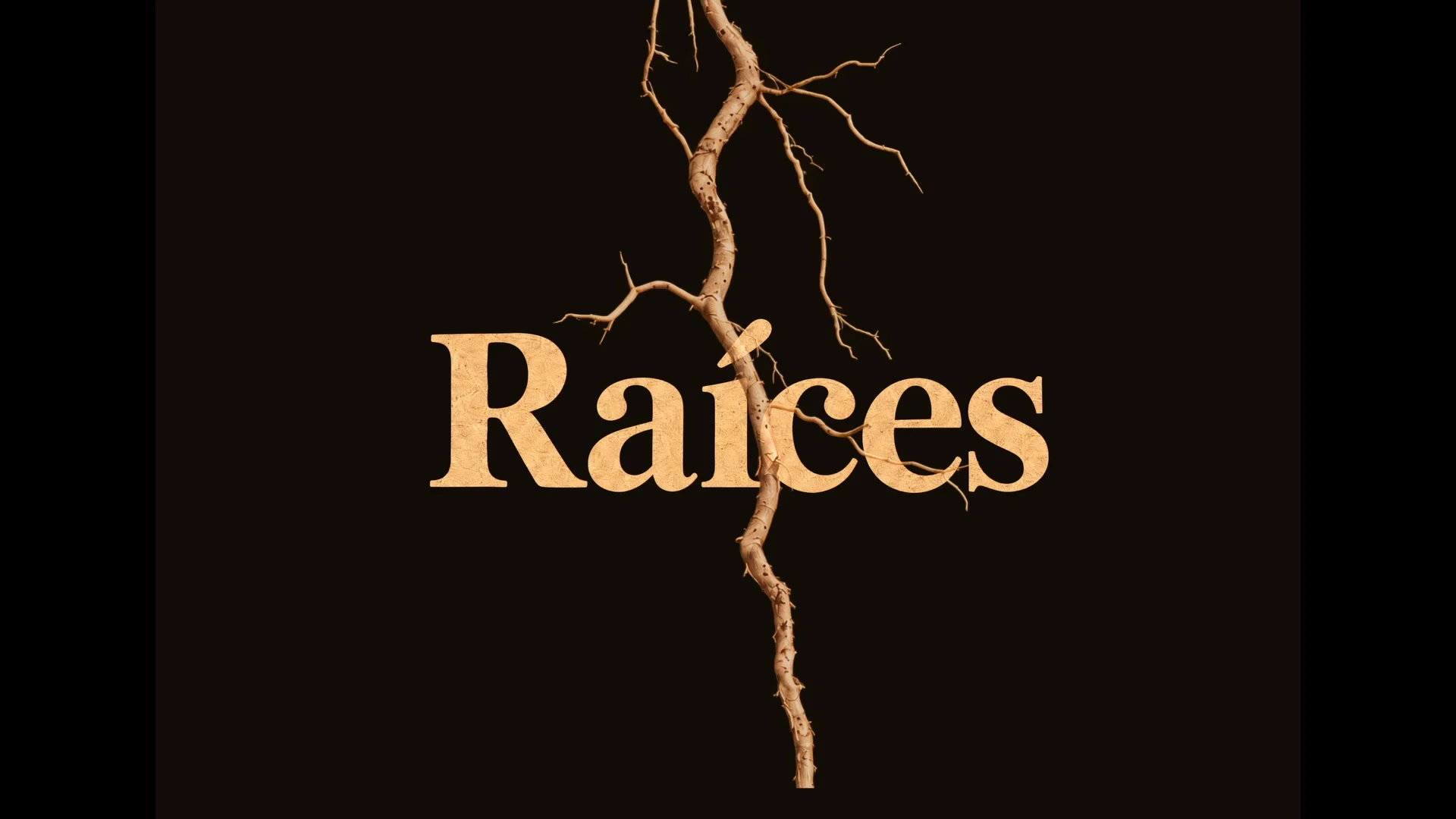 Raíces — poster